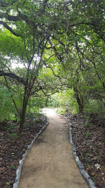 Bosque do Passaré - Image 1
