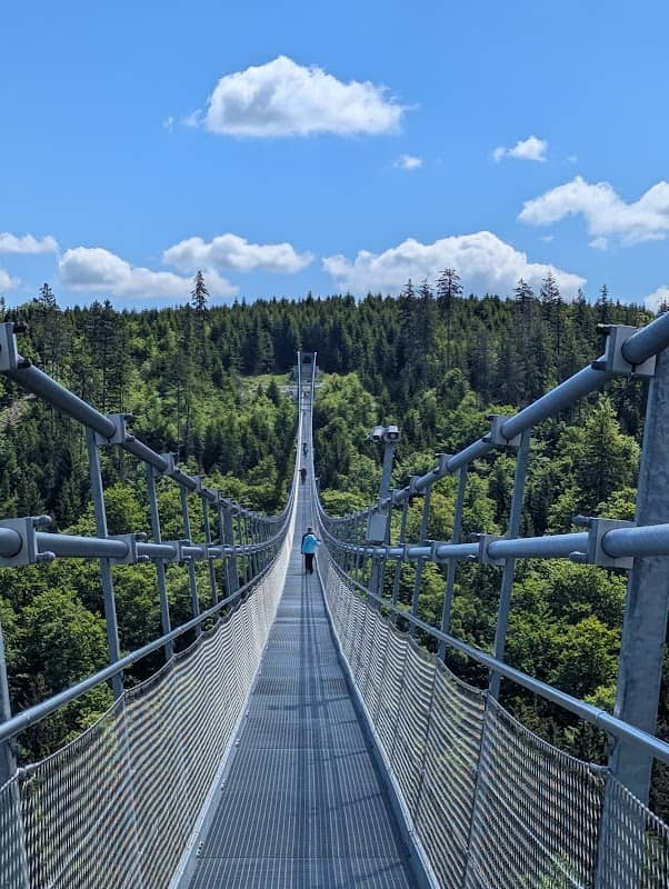 Skywalk Willingen - Hängebrücke - Image 1