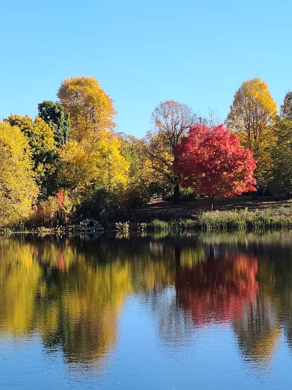 Cedar Pond Park - Image 1