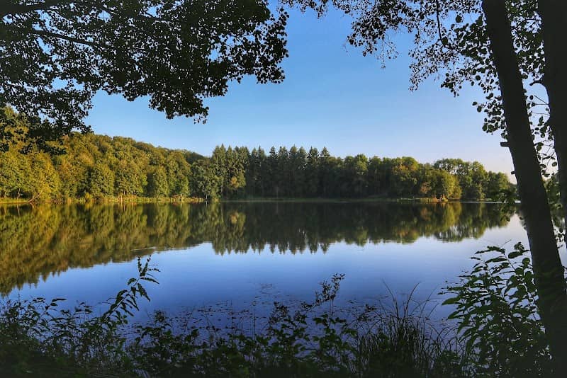 Määrchen-Naturwaldpfad - Image 1
