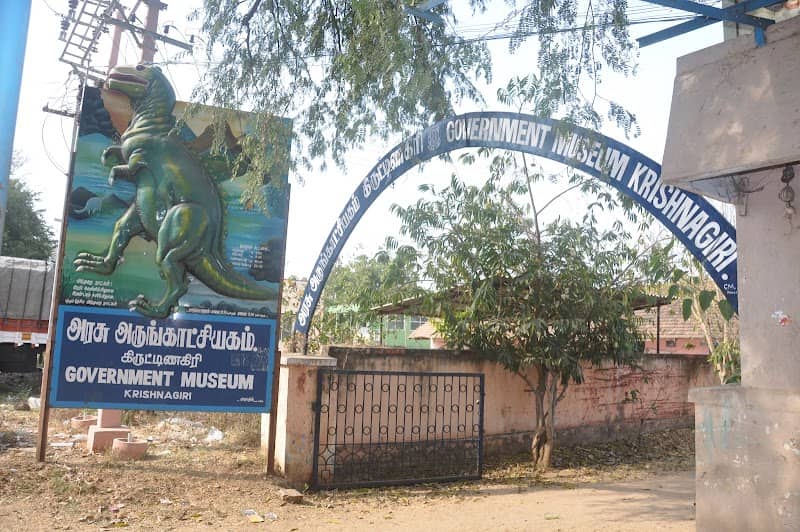 Government Museum Krishnagiri - Image 1