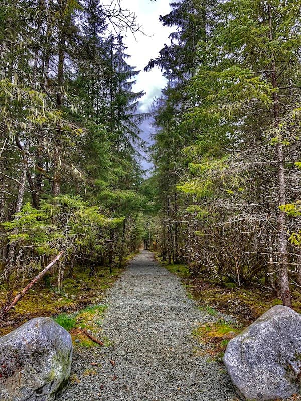 Tolch Rock Trail - Image 3