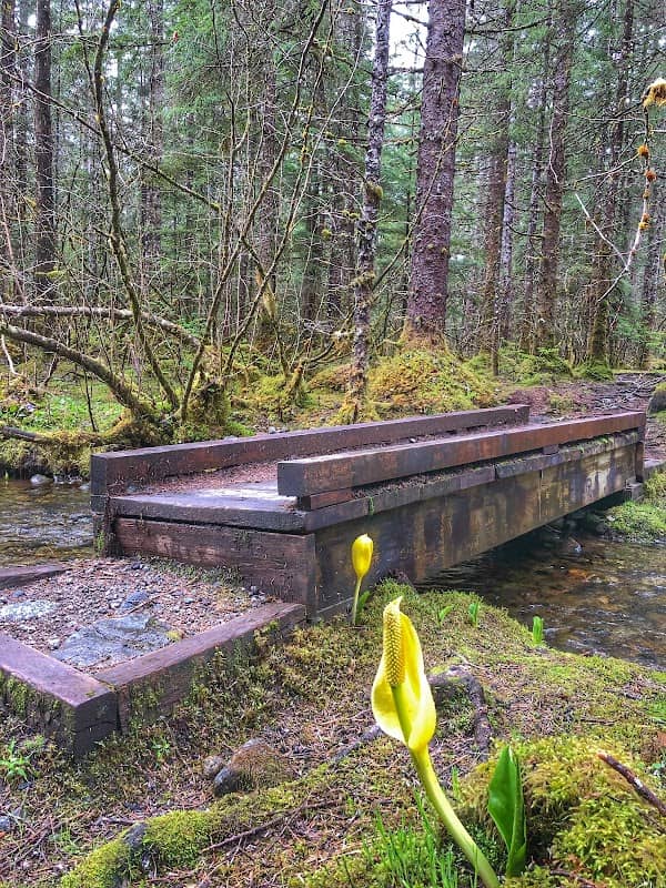 Tolch Rock Trail - Image 2