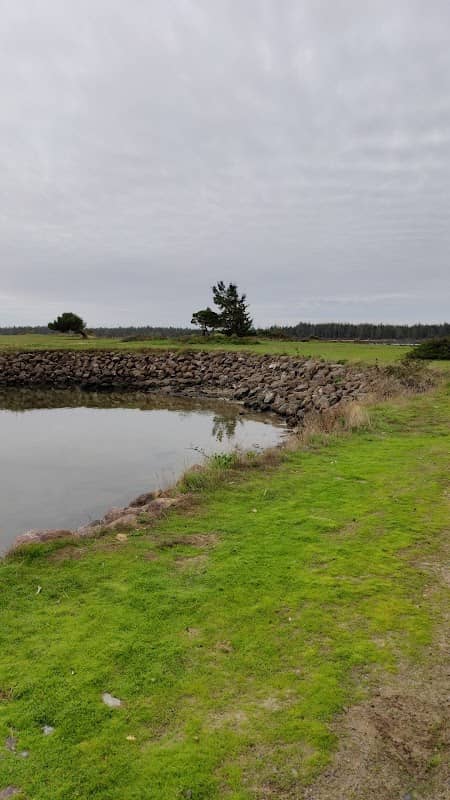 Ork Rock Park - Image 1