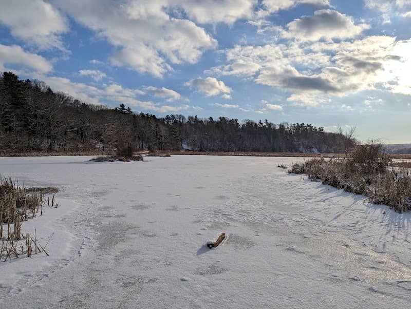 Miner's Marsh - Image 1