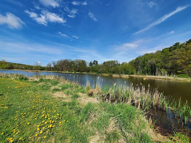 Miner's Marsh - Image 2