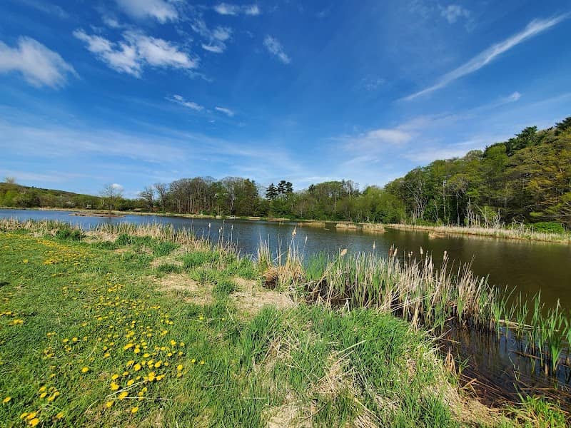 Miner's Marsh - Image 2