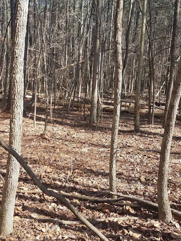 Meadowbrook Park - Image 1