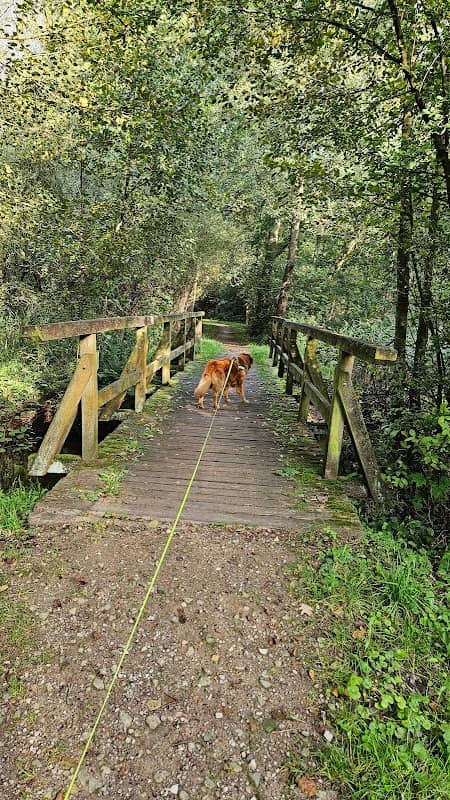 Wasserlehrpfad Wümme - Image 2