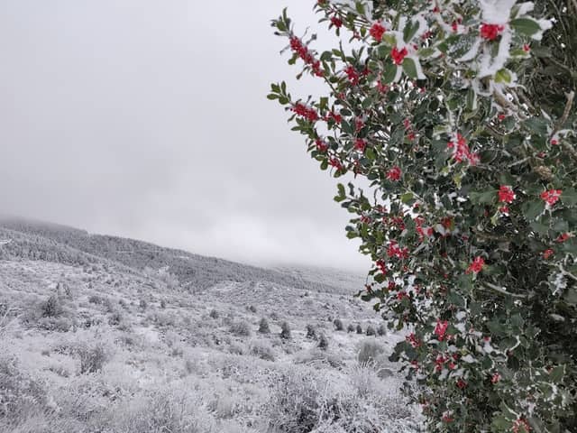 La Acebeda de Prádena - Image 3