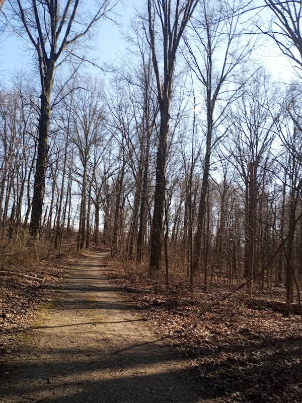 Edison Woods MetroPark - Image 1