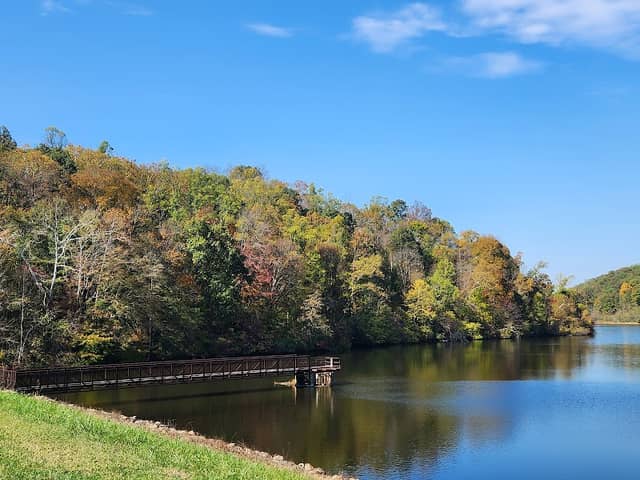 Strouds Run State Park - Image 3