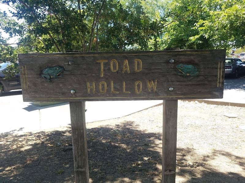 Toad Hollow - Image 3