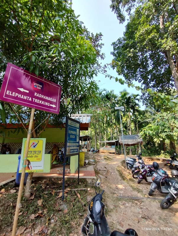 Jungle trekking start point to elephanta beach - Image 2