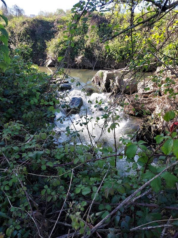 Moinho de água da Quinta da Torre - Image 1