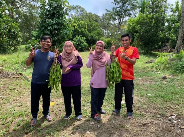 Kebun Dusun Buah HJ Budiono - Image 1
