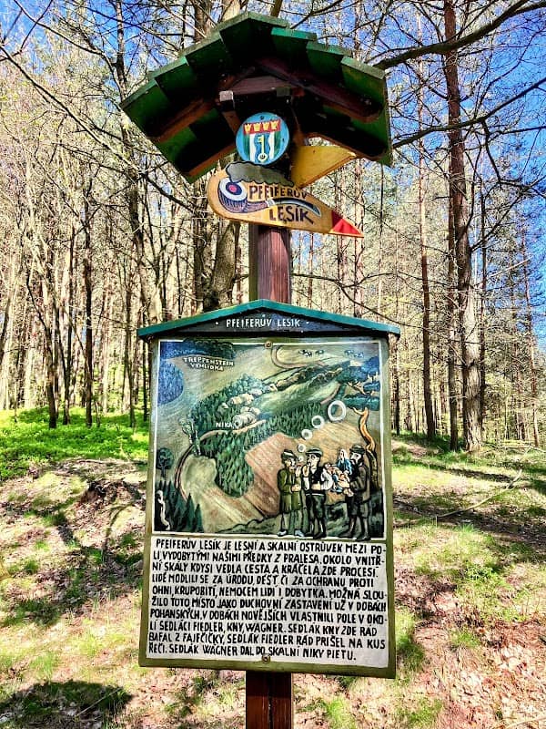 Pfeifer's Wood - Image 1