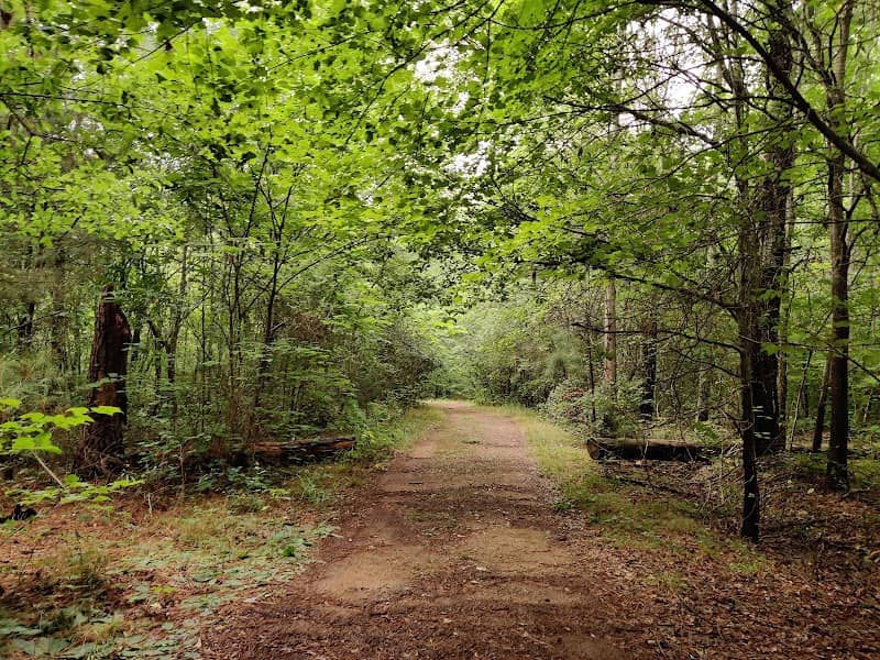 The Palmetto Trail: USC Upstate Passage - Image 2