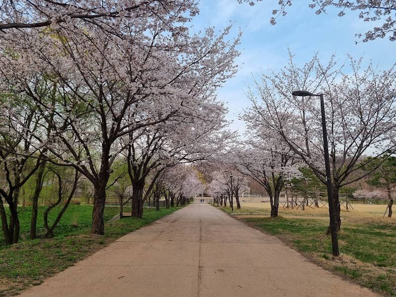 Nanji Hangang Park - Image 2