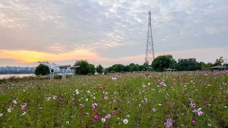 Nanji Hangang Park - Image 3