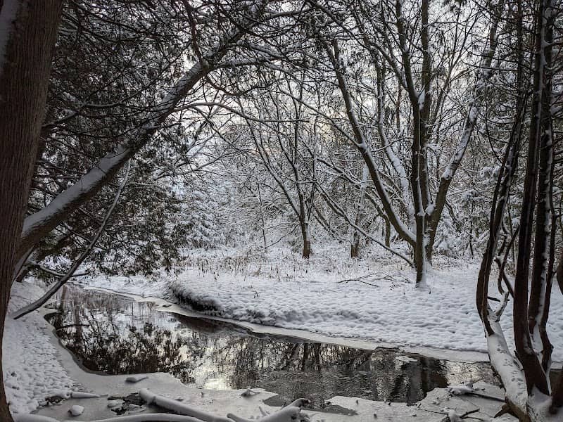 Vivian Creek Park - Image 1