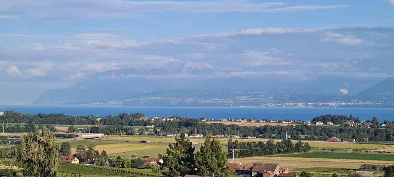 Panorama vignes léman - Image 1