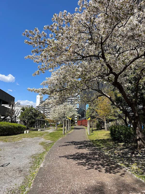 サークル風花(江東区コミュニティガーデン) - Image 1