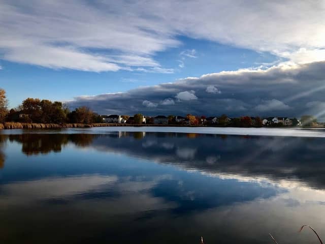 Gateway Wetlands Park, Bolingbrook Park District - Image 1