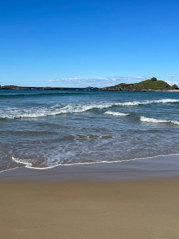 Sawtell Island Walkway - Image 1