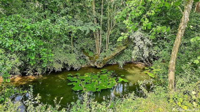 Écluse n°66 de Bignicourt - Image 2