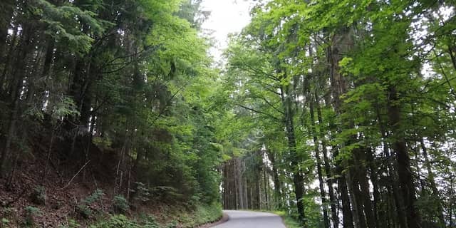 Alpenpanorama Thierbach - Image 1