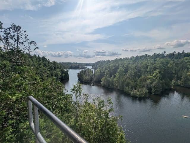 Cedar Trail Lookout - Image 1