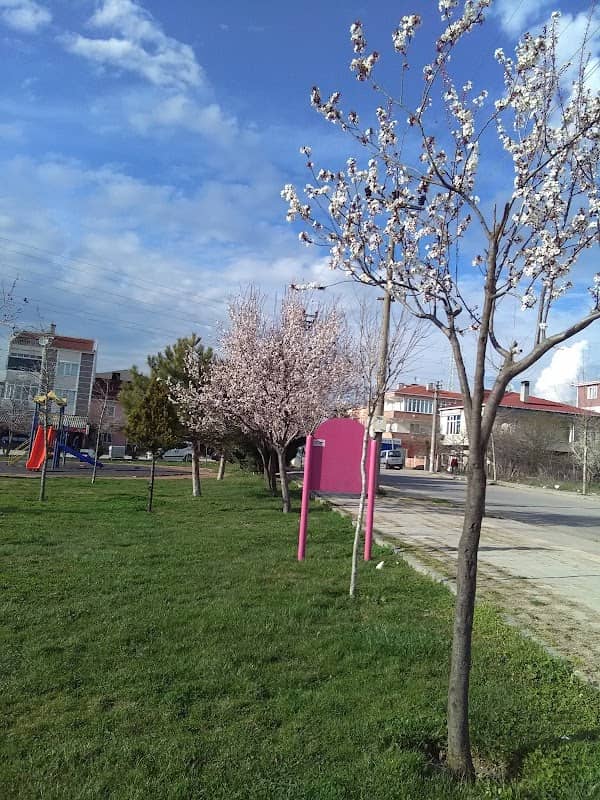 Park - Image 1