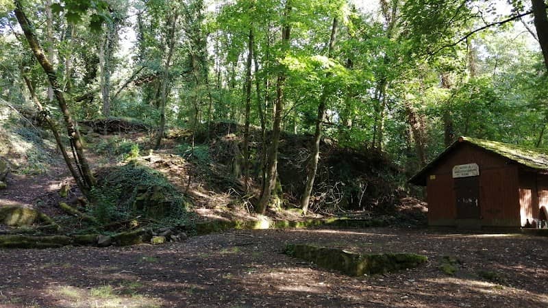 Kohdener Wald - Image 1
