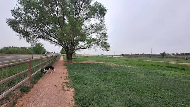 Severance Dog Park - Image 1