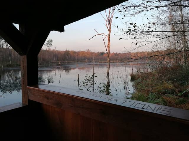 Beobachtungshütte - Image 1