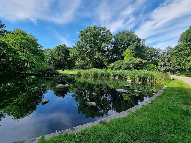 Vasa park - Image 1