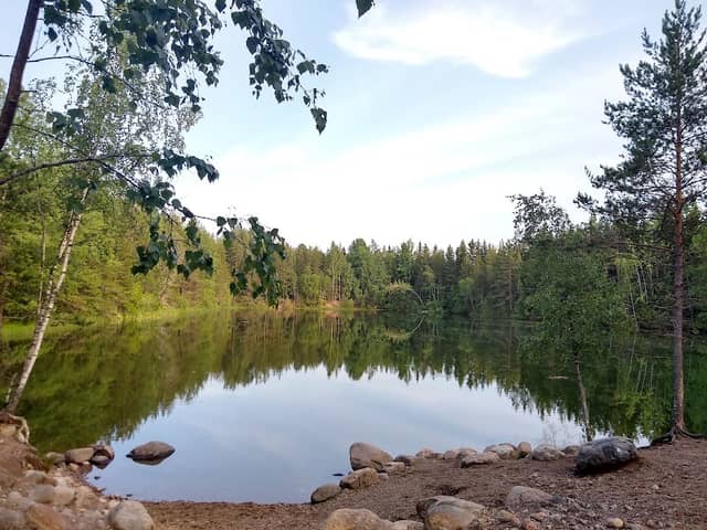 Ruskolaisten Koirien uimaranta - Image 1
