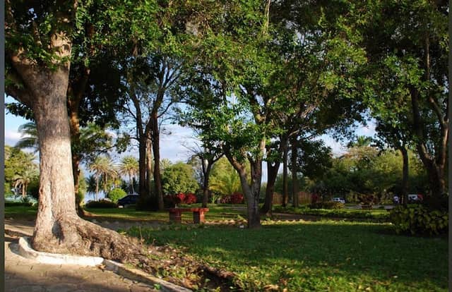 Parque Belvedere - Image 1