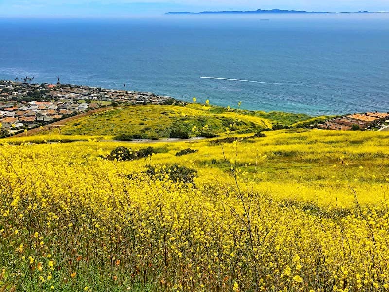 San Ramon Reserve - Image 3