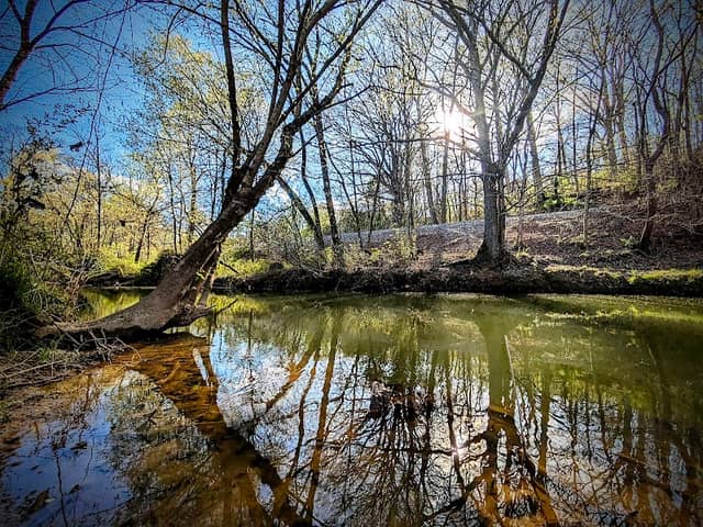 Eagle Walk Trail - Image 2