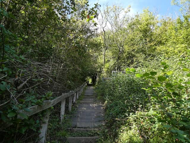 Viewpoint - Image 2