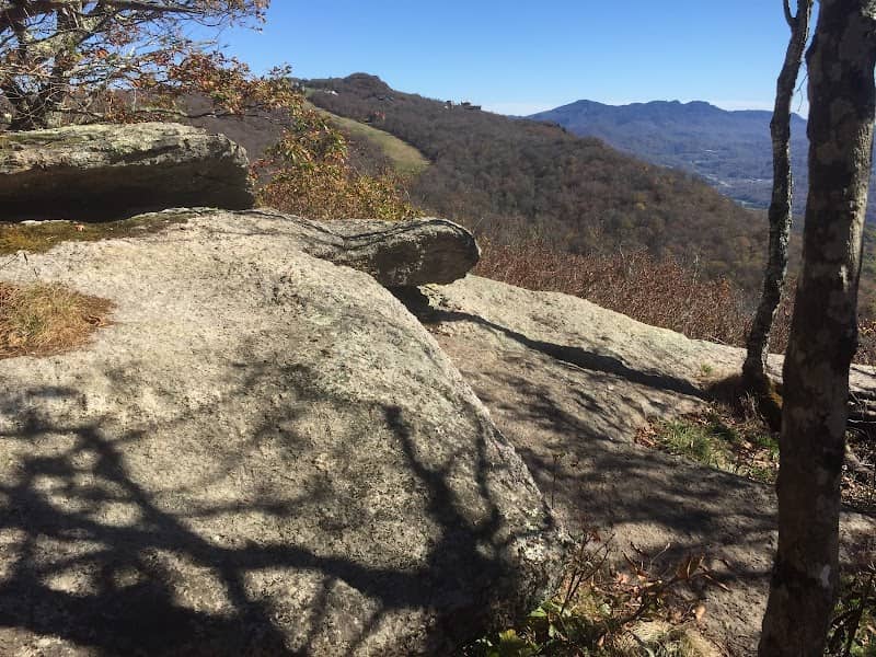 Pride Rock - Image 2