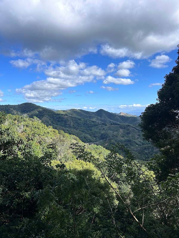 Parquecito - Image 1