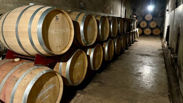 Bodega Pulmary - Vinos Orgánicos - Image 1
