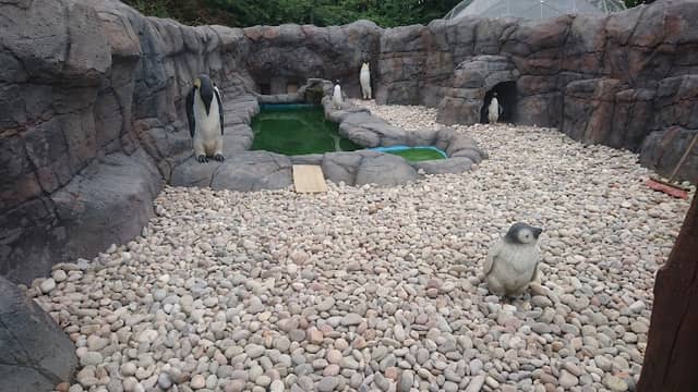 Exotic Zoo Wildlife Park - Image 2