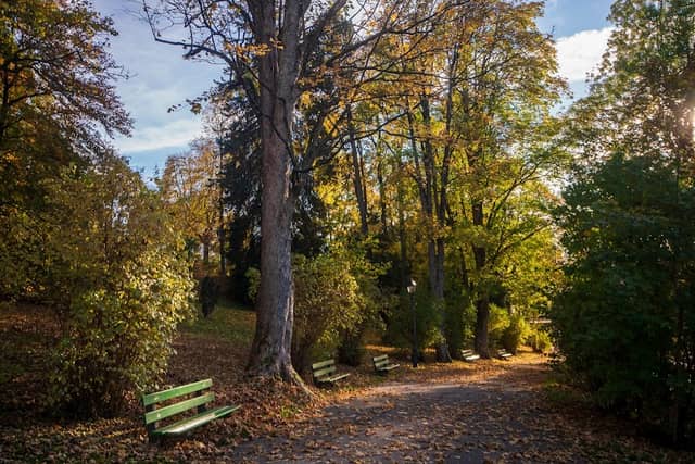 Parc des Crêtets - Image 1