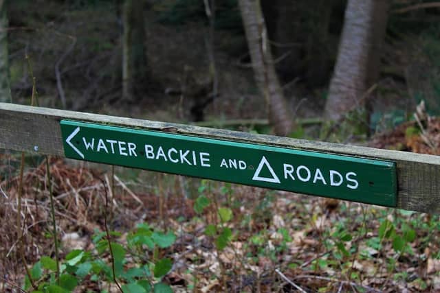 Newbigging Woods Path - Image 2