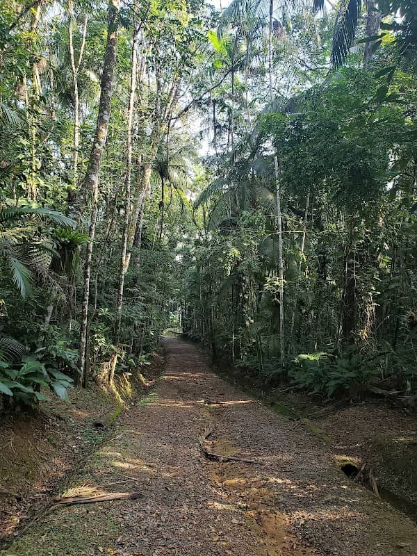 Parque Municipal Morro do Finder - Image 1