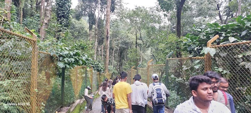 Coorg - Image 3